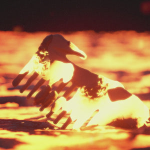 Beard Comb Industrial