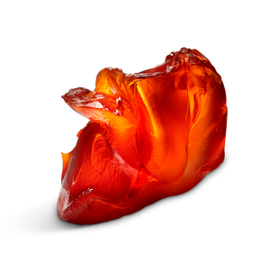 Pomade Inepuisable 100ml