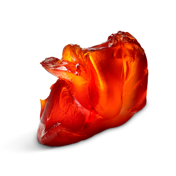 Pomade Inepuisable 100ml